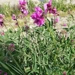 Cathy Nadeau - @cathynadeau67 - Instagram