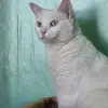 Cathy Nadeau - @cathy.nadeau31 - TikTok