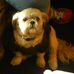 Cathy Nault - Facebook
