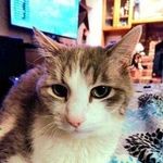 Cathy Hiatt Neff - @grannycathy3 - Instagram