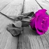 Cathy Newton - @cathy.newton3 - TikTok