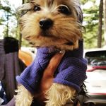 Cathy Newton - @twigtheetwigster - Instagram