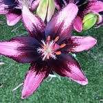 Cathy Newton - @cathy.newton.33 - Instagram