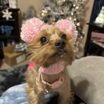 Cathy Newton - Facebook