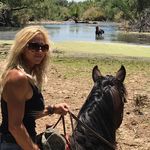 Cathy Nielsen - @lovemyhorses777 - Instagram