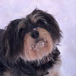 Cathy Nielsen - @cathyn68 - Instagram
