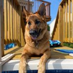Cathy Nielsen - @cathyn3570 - Instagram