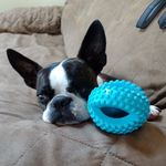 Cathy Nielsen Gray - @cathynielsengray - Instagram