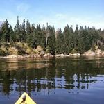 Cathy Nielsen Toran - @cathytoran - Instagram