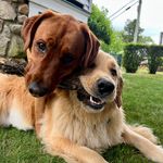 Cathy Nielsen Woehle - @cathy.woehle - Instagram