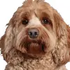 cathynielsen329 - @cathynielsen329 - TikTok