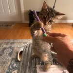 Cathy Norman - @cathynorman545 - Instagram