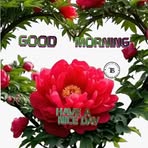 Cathy Nyengo - Facebook