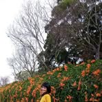 Cathy Ou - Facebook
