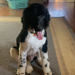 Cathy Overby Hutcheson - @cathdhutch - Instagram