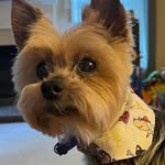 Cathy Mann Pack - @cathympack - Instagram