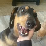 Cathy Devendeville Parent - @teckleteckel - Instagram