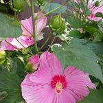 Cathy Pennington - @pennington.cathy - Instagram
