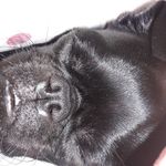 Cathy Pennington - @catpen66 - Instagram