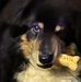 Cathy Persinger Jarrett - Facebook