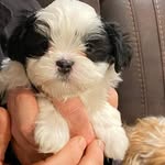 Cathy Petroelje - @petroeljecathy - Instagram