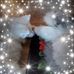 Cathy Petry - Facebook