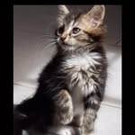 Cathy - @cathy_pinel_ - Instagram