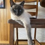 Cathy Plourde - Facebook