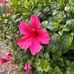Cathy Pohlman - Facebook