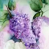 Cathy Potts - @cathypotts6 - TikTok