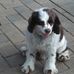Cathy Preston - Facebook