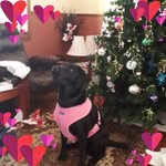 Cathy Preston - @cathypreston67 - Instagram