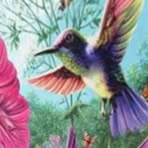 Cathy Puckett - Facebook
