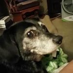 Cathy Purvis - @purviscathy - Instagram