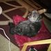 Cathy Ramirez - Facebook