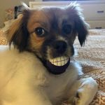 Cathy Reeder - @clreeder42 - Instagram
