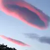 Cathy Rhodes - @cathy.rhodes96 - TikTok