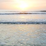 Cathy Rosenthal - @cathy_rosenthal - Instagram