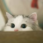 Cathy Roy - @cathyroy1108 - Instagram