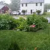 cathyroy74 - @cathyroy74 - TikTok