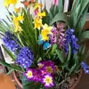 cathyroy779 - @cathyroy779 - TikTok