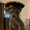 Cathy Ruiz - @cathy.ruiz91 - TikTok