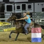 Cathy Ruiz - @southwestsporthorse - Instagram