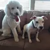 Cathy Ruiz - @cathy.ruiz12 - TikTok