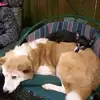Cathy Ryan - @cathy.ryan01 - TikTok
