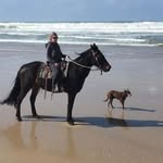 Cathy Ryan - @cathyryan61 - Instagram