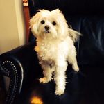 Cathy Salerno - @csalno1 - Instagram