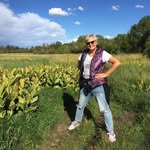Cathy Scribner - @scribner.cathy - Instagram