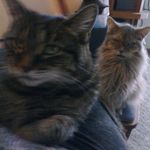 Cathy Seidel - @cathy.seidel.16 - Instagram