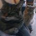 Cathy Seidel - Facebook